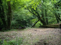 Entretien &raquo; Embâcle 3 et 4